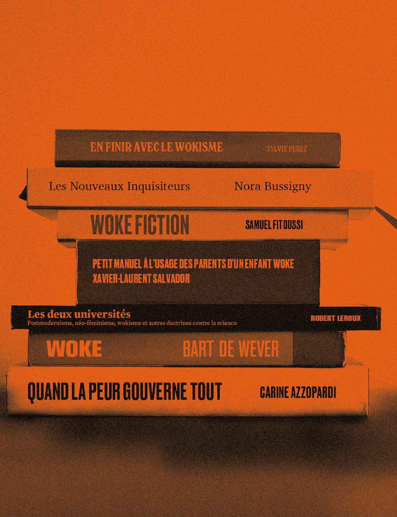  Woke fiction - Comment l'idéologie change nos films et nos  séries - FITOUSSI, Samuel - Livres